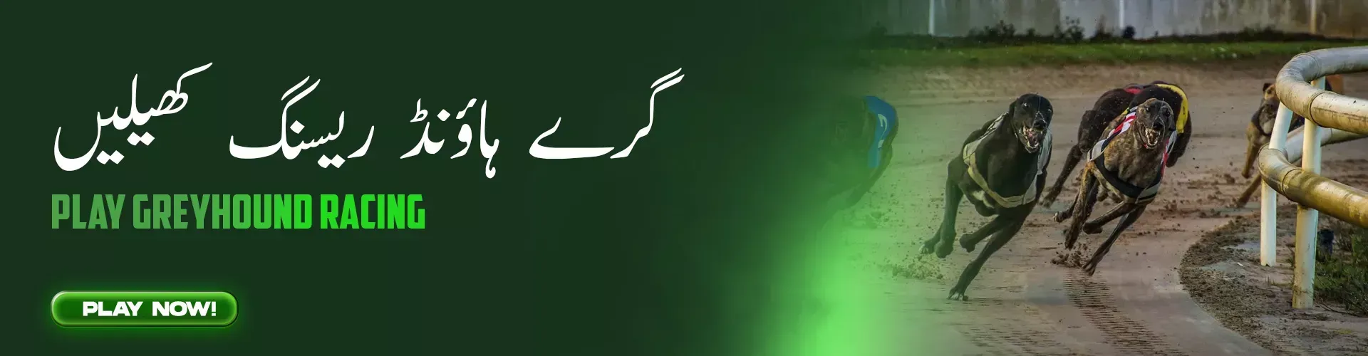 BetPro Pakistan sports betting and casino promotion